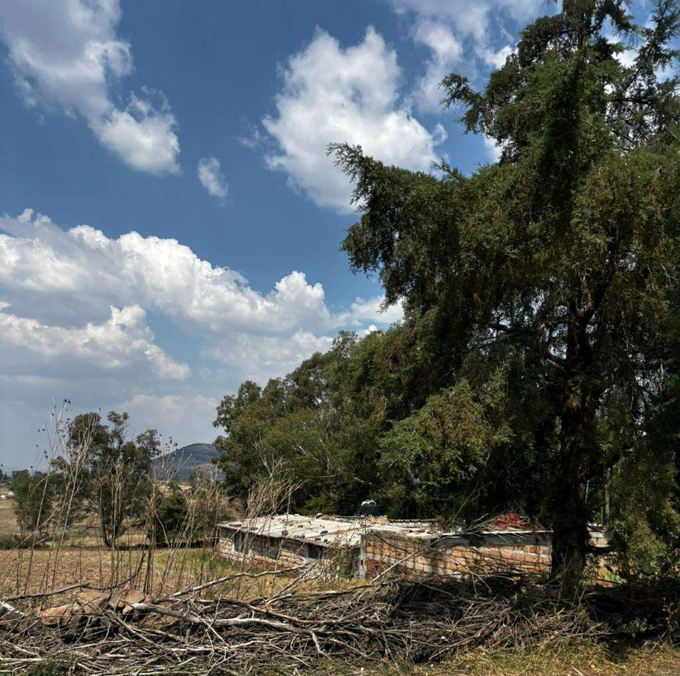 Paisaje 4
