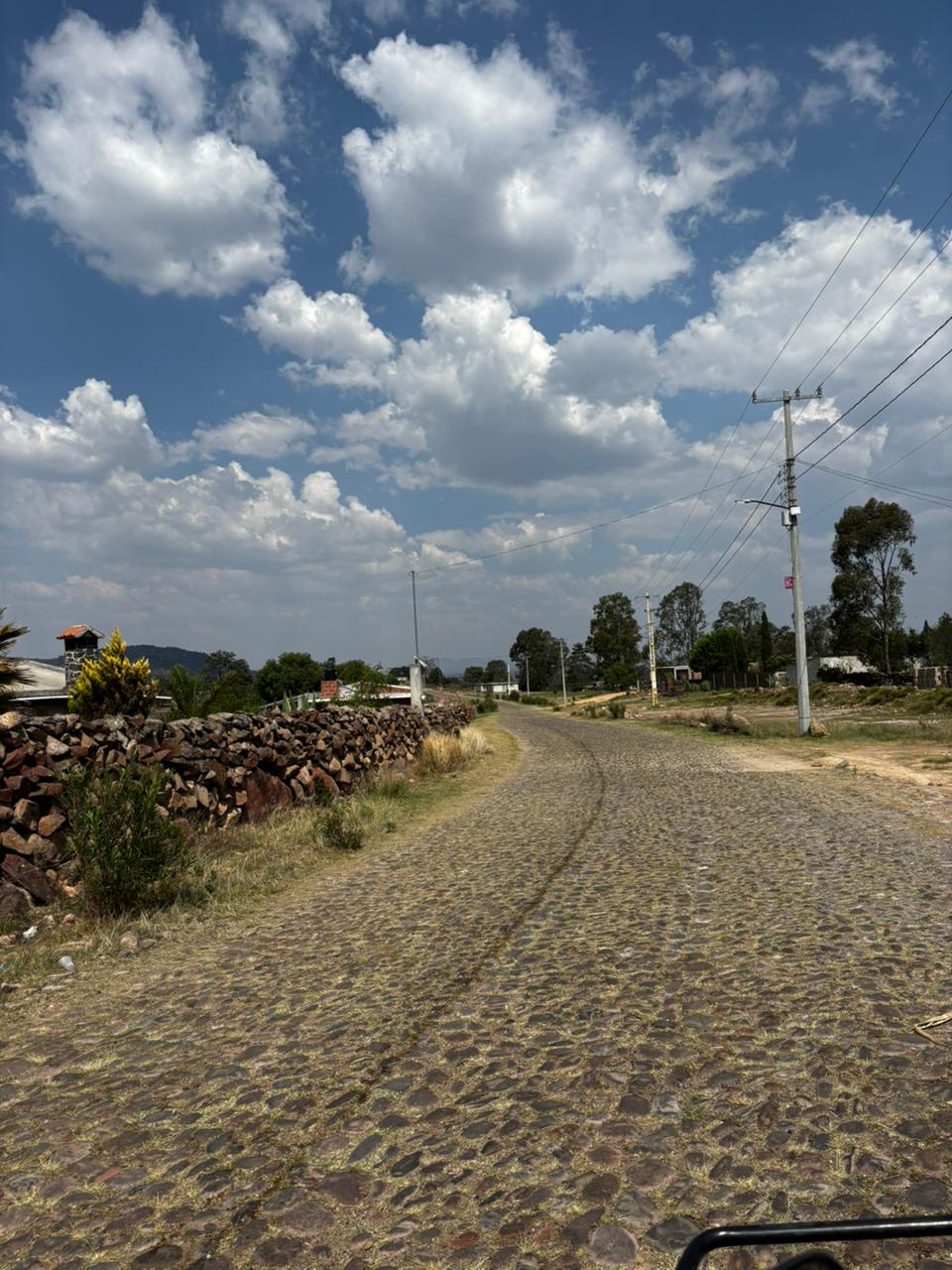 Paisaje 5