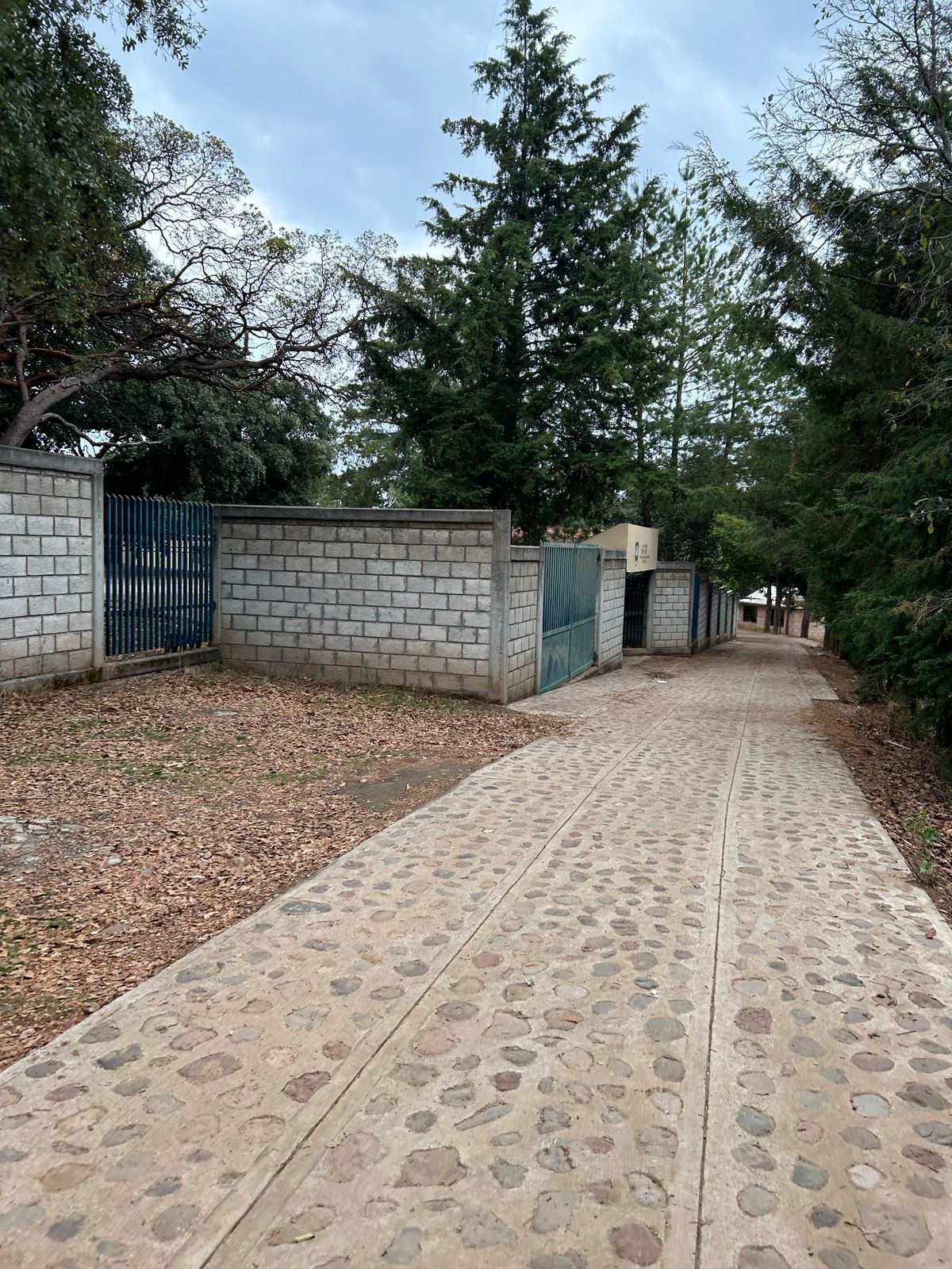 escuela