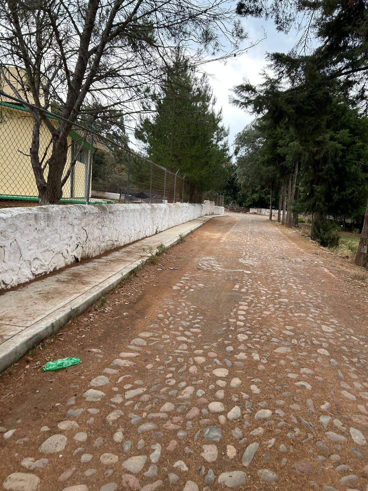 Escuela en la comunidad