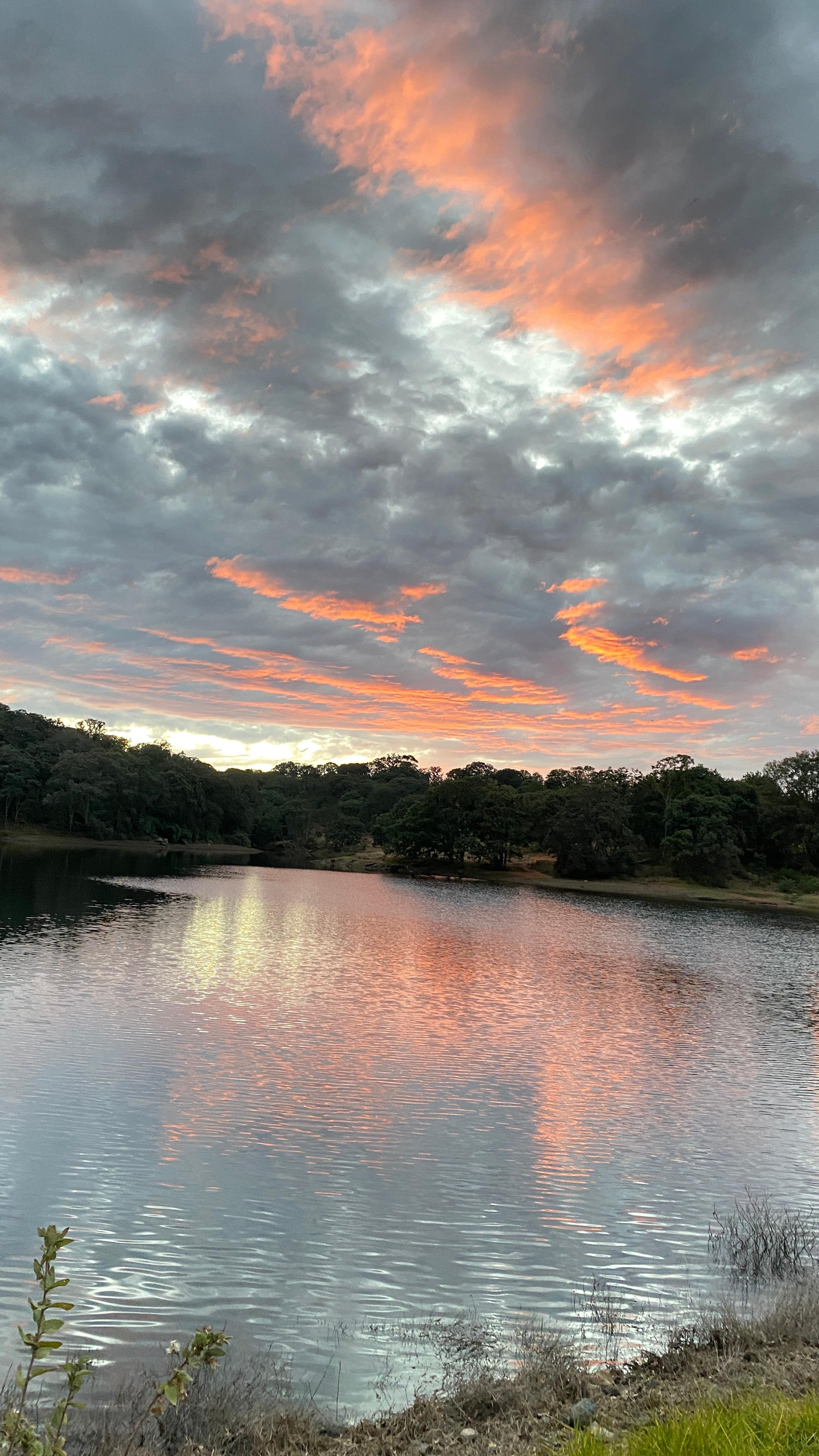 Presa vista general
