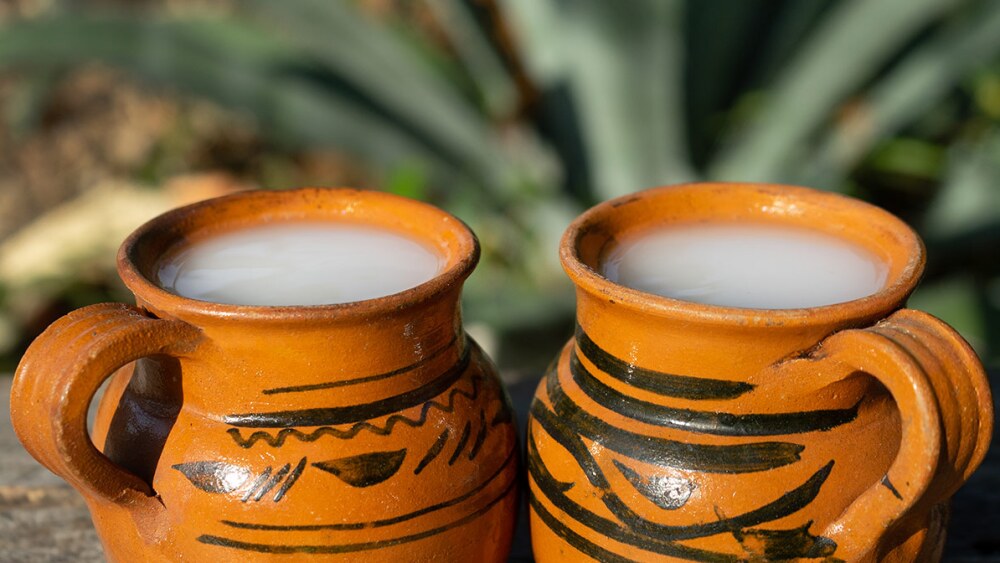 Pulque servido en jícaras