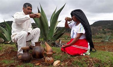 Pulque tradicional