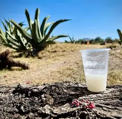 Gastronomía y artesanías de San Ildefonso Tultepec