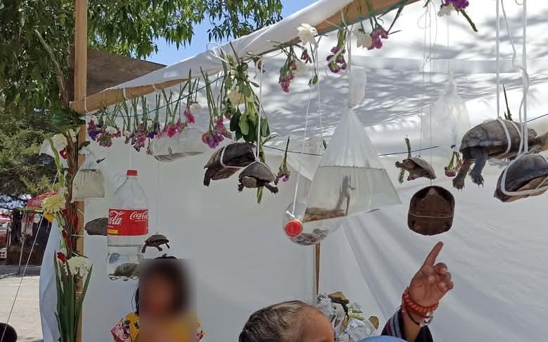 Persona con atuendo tradicional