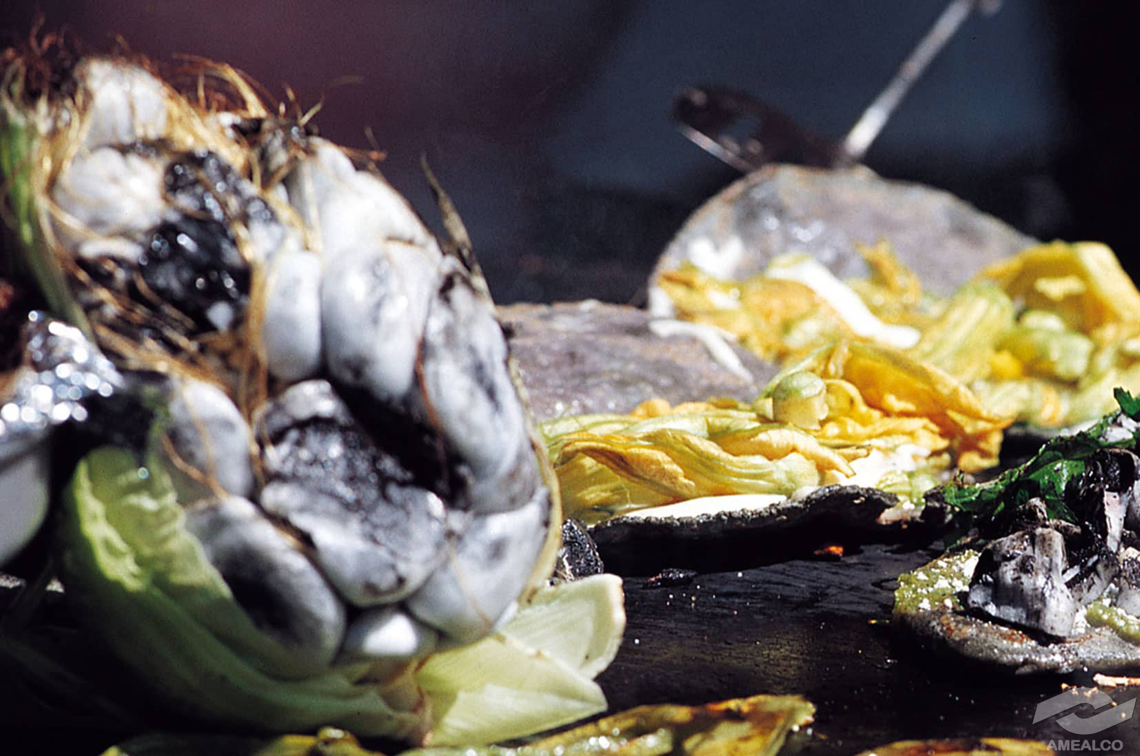 Huitlacoche en una mazorca